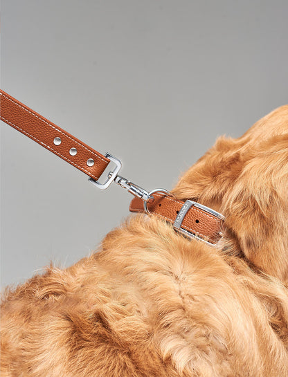 The Prince Premium Dog Collar